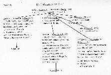 Tafel 19 Glatzer Linie III