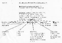 Tafel 27 Dichterlinie IV